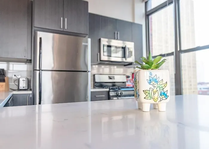 South Loop 2br Corner Unit With Natural Light, Optional Parking And Guest Access Near Downtown And Mccormick Place Appartamento *